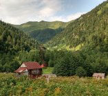 semi-abandoned lebarde georgia