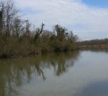 jezioro paliastomi